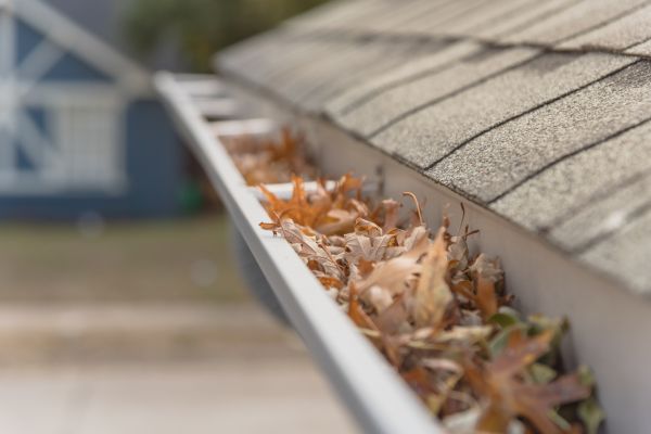Leaf Barrier Installation in Xenia